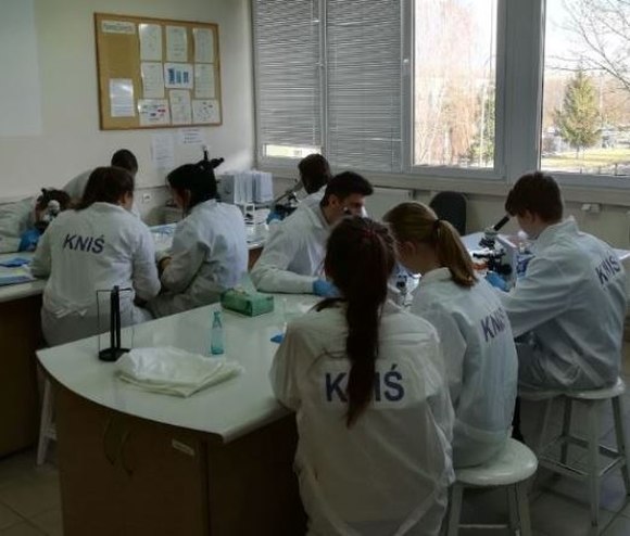 kniś laboratorium
