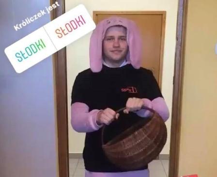 królik 