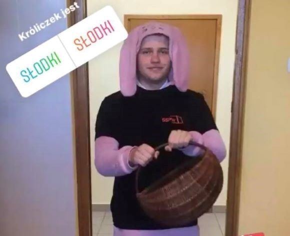 królik 