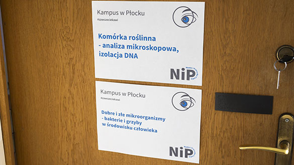 NiP_5