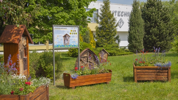 Zapylacze 20.05.2022_11
